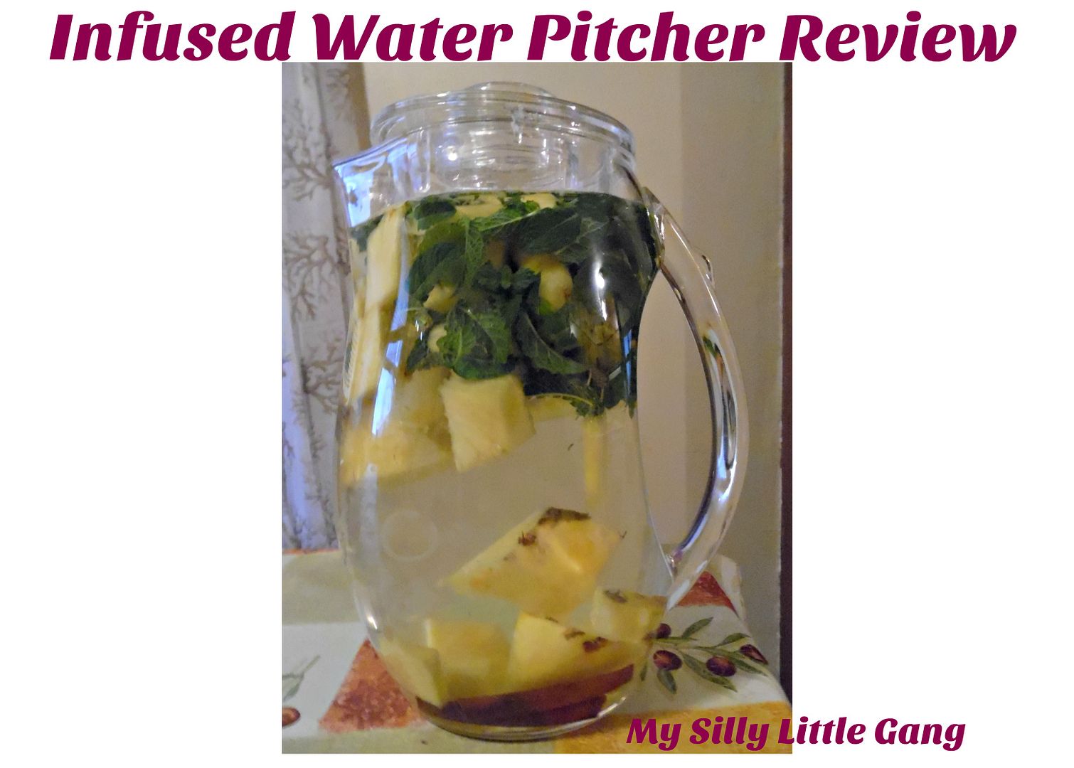 Infused Water Pitcher Review GearUltimate My Silly Little Gang